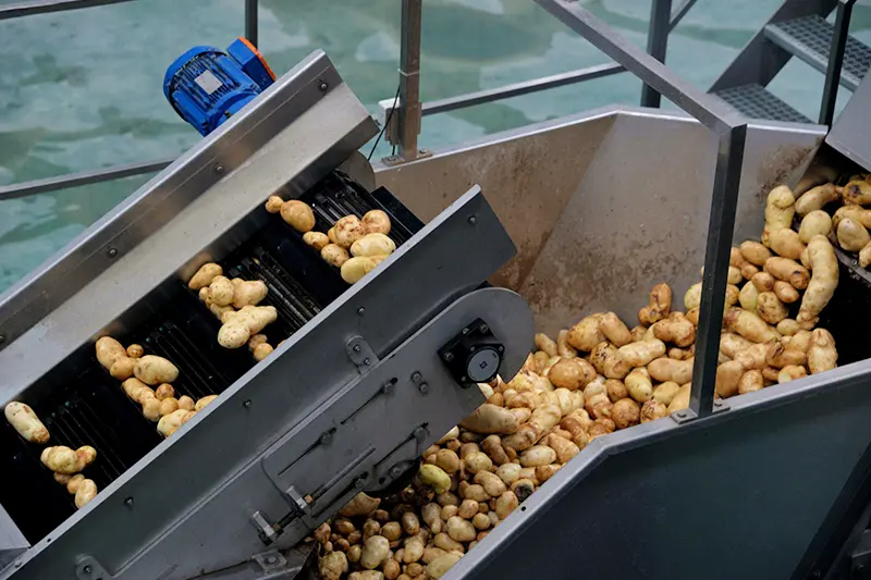 What are the methods for the daily maintenance and care of conveyor belts?