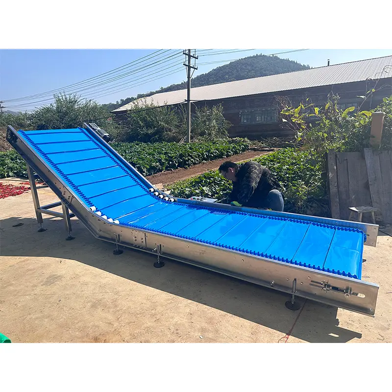 Corrugated Sidewall Belt Conveyor