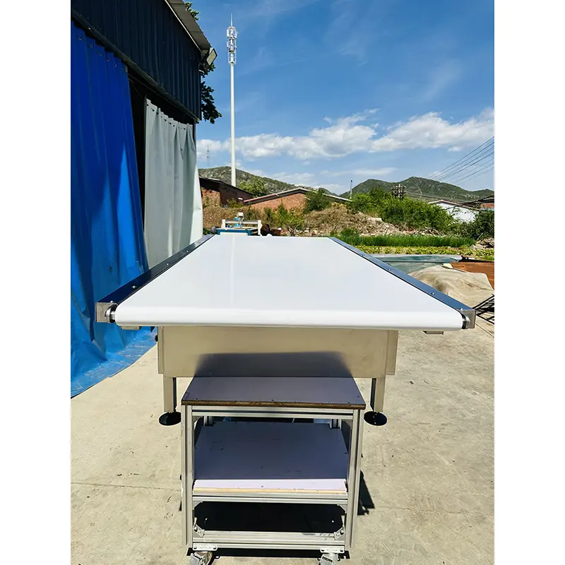 Flat Belt Conveyor