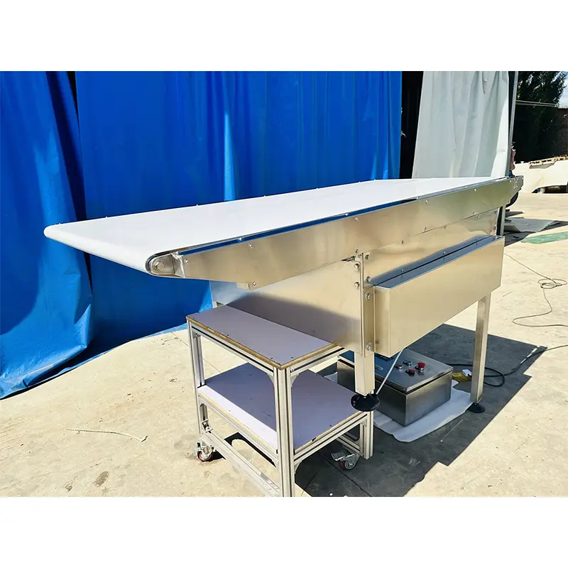 Flat Belt Conveyor
