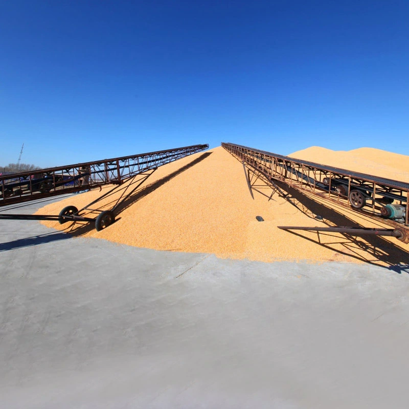 Grain Conveyor Belt
