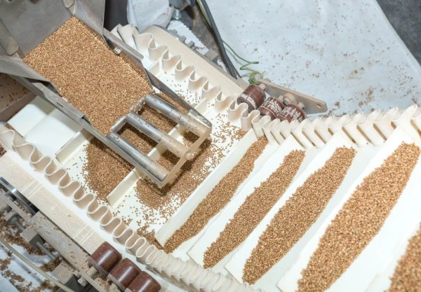 Nut Conveyor Belt