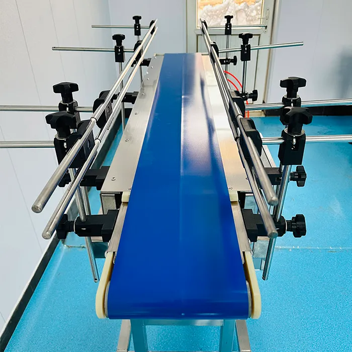 Food Grade Belt Conveyor