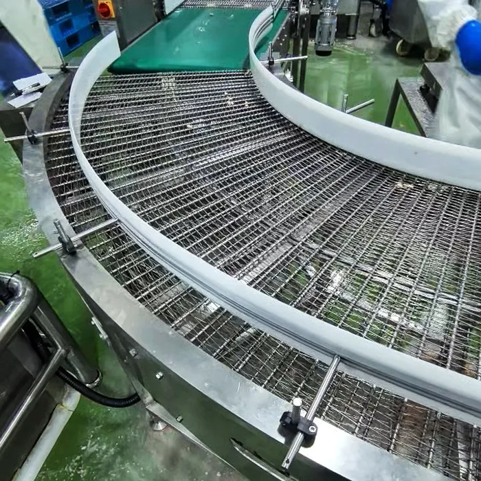 Modular Mesh Chain Conveyor for Curved Material Transfer