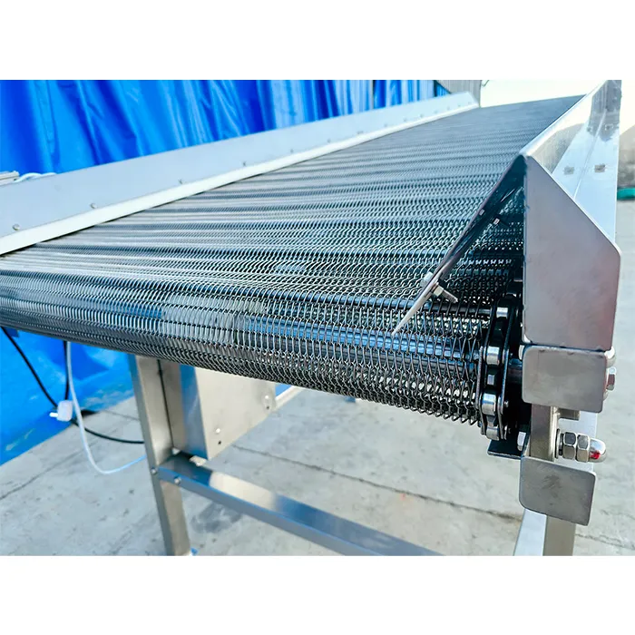Stainless Steel Metal Mesh Chain Conveyor System