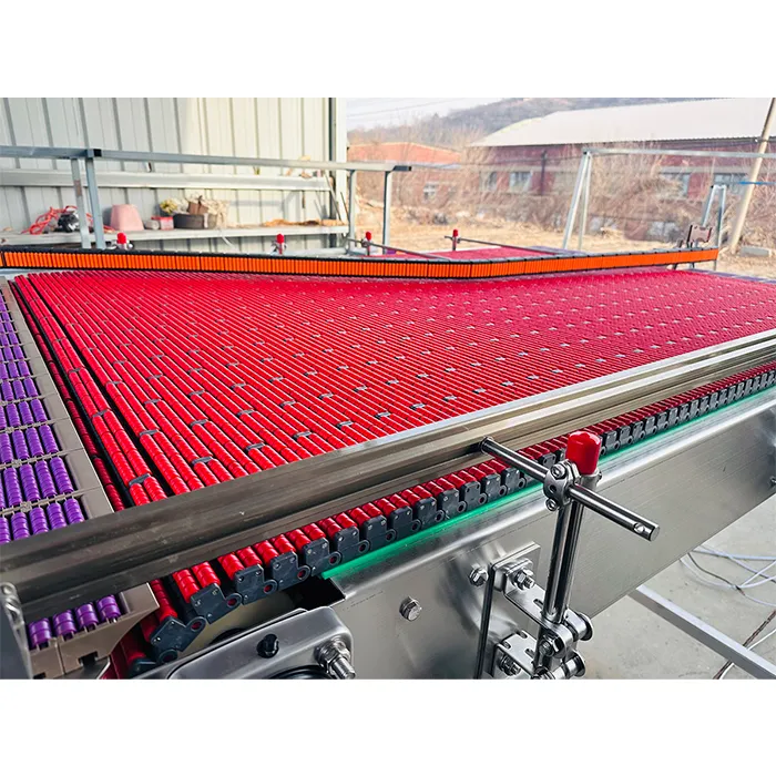 Modular Plastic Mesh Chain Conveyor System