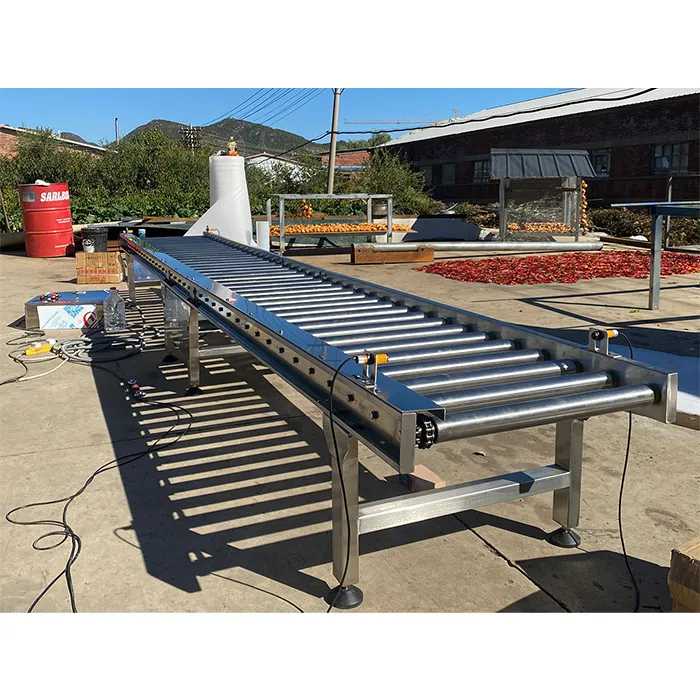 Motor-driven roller conveyor system for industrial production