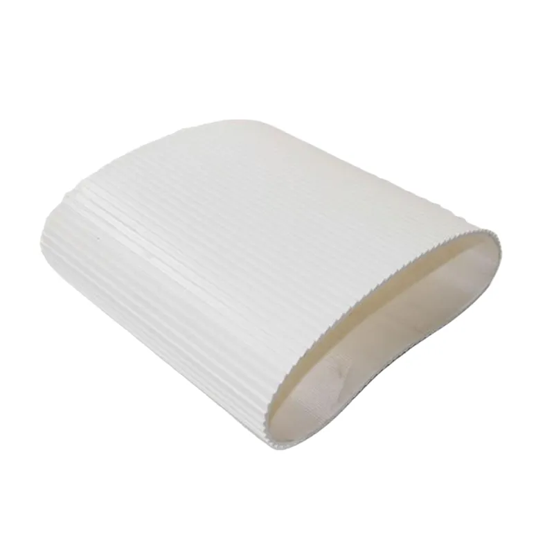 Nut Conveyor Belt